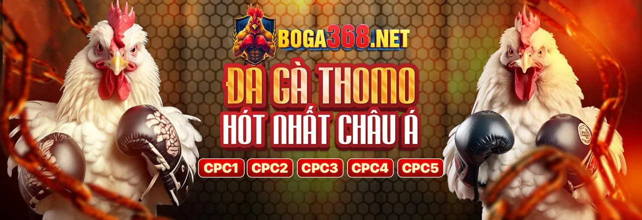 Tổng quan nền tảng cá cược thể thao mb88 chính thức